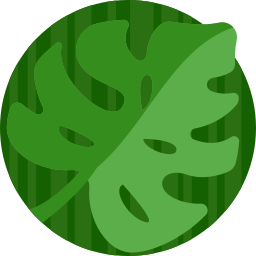 Leaf icon