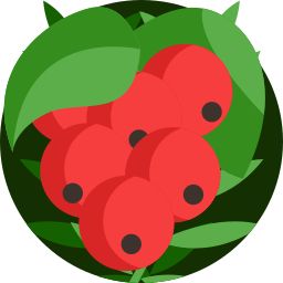 Berries icon