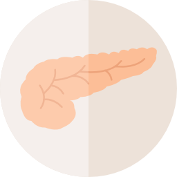 膵臓 icon