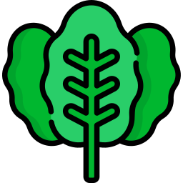 Spinach icon