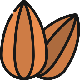 Almond icon