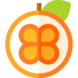 Orange icon