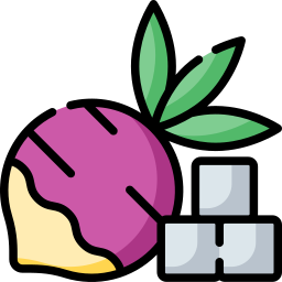 Radish icon