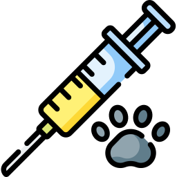 Vacina Ícone