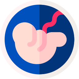 foetus icoon