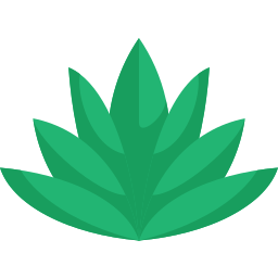 agave icon