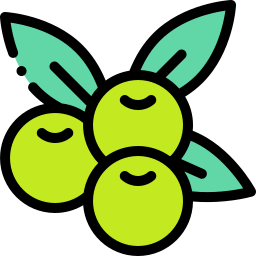 Olives icon