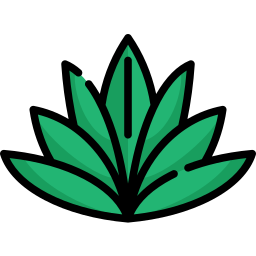 agave Icône