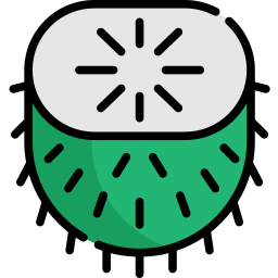 guanabana icon