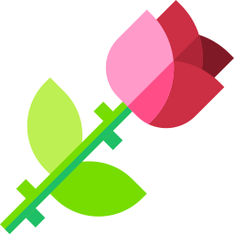 Rosa icono