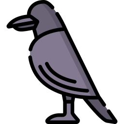 Cuervo icono