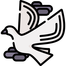 Pigeon icon