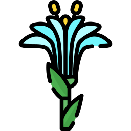 Lilium icon