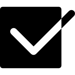marca de verificación dentro de una caja negra icono