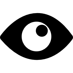 Eye with pupil icon