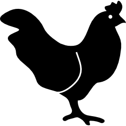 poulet Icône