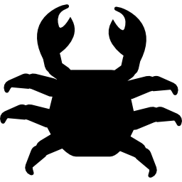 Crab top view icon