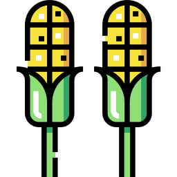 Corn icon