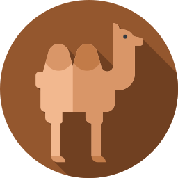 Camelo Ícone