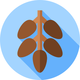 Dates icon