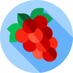 Uvas icono