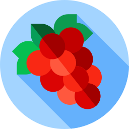 Grapes icon