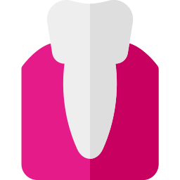 premolar icono