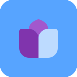 Display icon