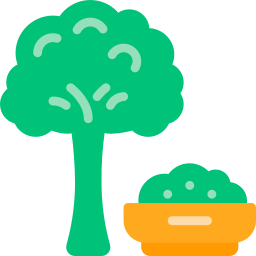 Broccoli icon