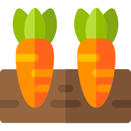 Carrot icon