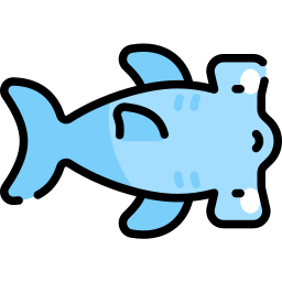 hammerhai icon