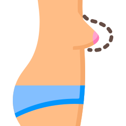 Anatomy icon