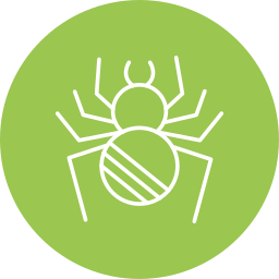 Spider icon