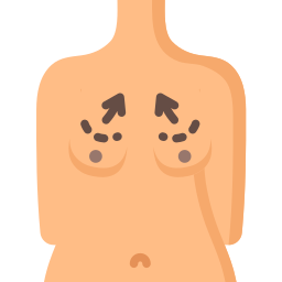 anatomia icona