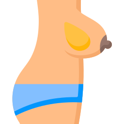 Anatomy icon