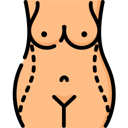 Barriga Ícone