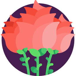 Roses icon