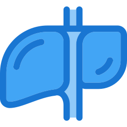 Liver icon