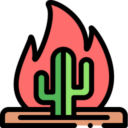 Cactus icon