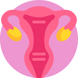 Uterus icon