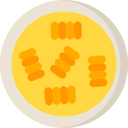 pasta icon