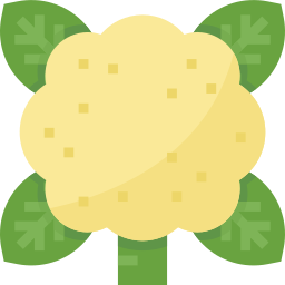 Couve-flor Ícone