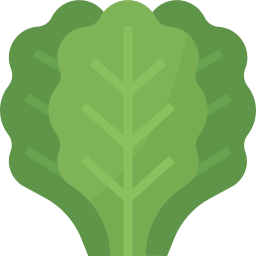 Kale icon