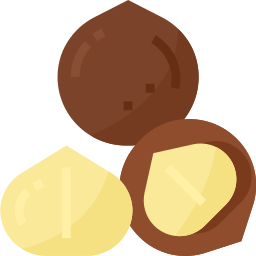 Nuez de macadamia icono