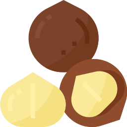 Macadamia nut icon