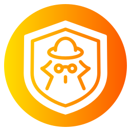 pirata informático icono