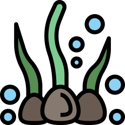 alga icona
