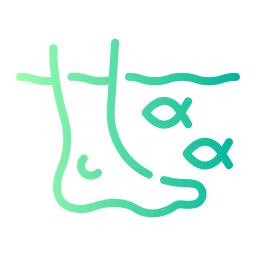 spa de pescado icono