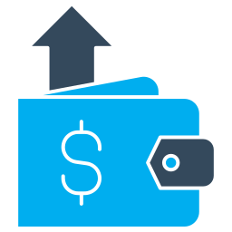 Expense monitoring expert icon