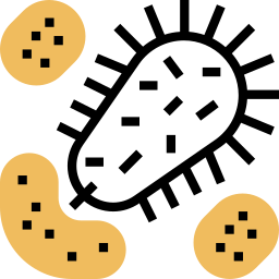 Bacteria icon